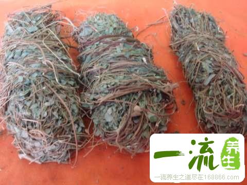 中药鸡骨草的食用方法_中药用法