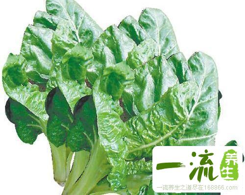 中药盐麸木花的功效与作用_盐麸木花的用法用量和禁忌注意
