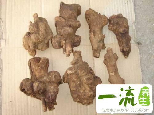 白术的营养价值和食用方法_中药化学
