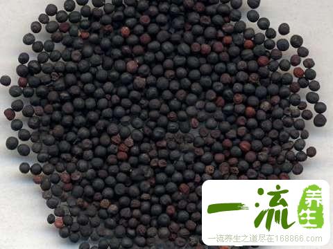 王不留行的功效与作用_中药常识