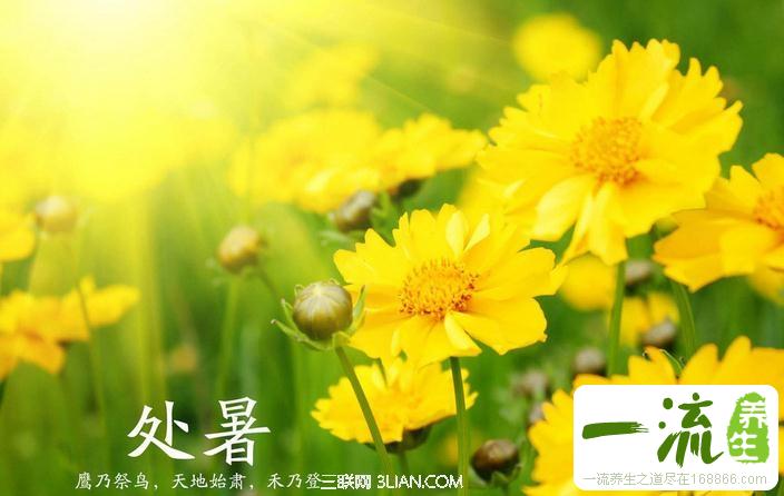 处暑怎样养生