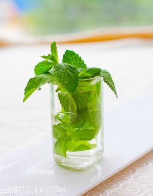 夏日养生不食疗闻花香身体好