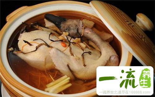 体质不好怎么调理