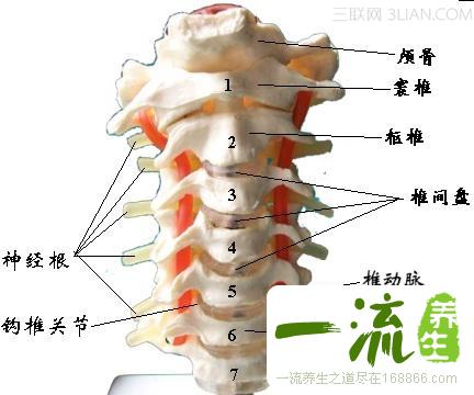 日常生活如何预防颈椎病