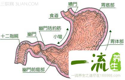 几块钱彻底根除“胃病”