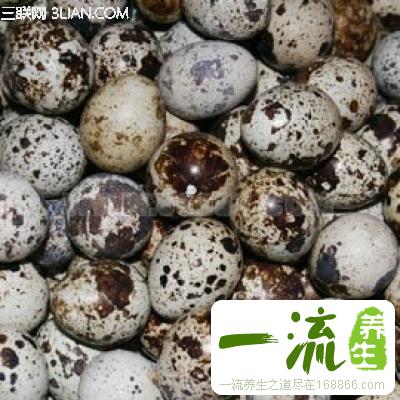 新鲜鹌鹑蛋：脑力劳动者的最佳补养品