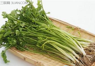 盘点春季野菜的食疗功效及做法