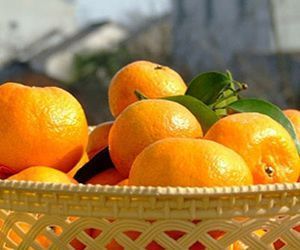 8种最滋补女性的食物
