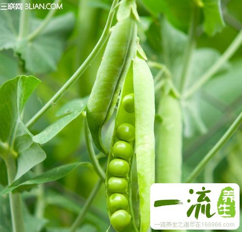 冬季养生的五大蔬菜