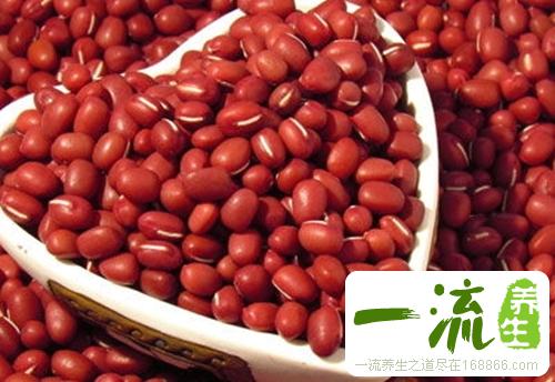 春季祛湿吃什么食物好