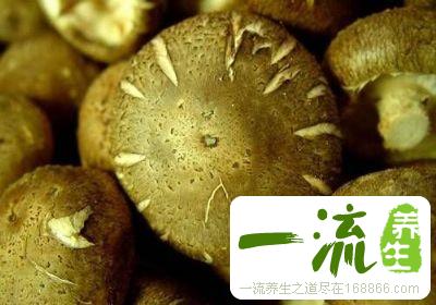 8种最滋补女性的食物