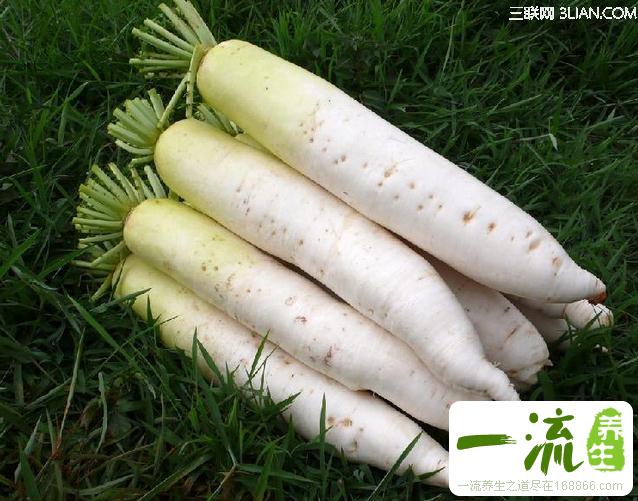 冬春交替防感冒应多吃萝卜