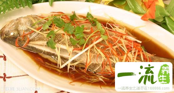 秋季滋补首选鲈鱼