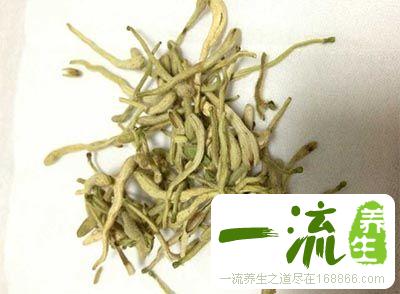 鼻窦炎怎么治 试试中医治鼻窦炎的秘方