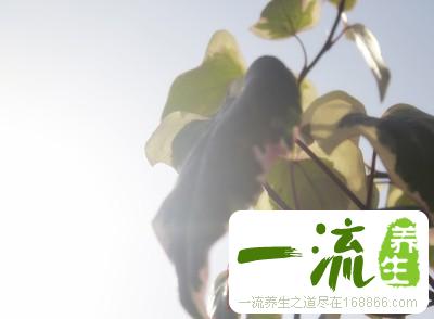 夏季炎热易病 老中医教你如何健康降温