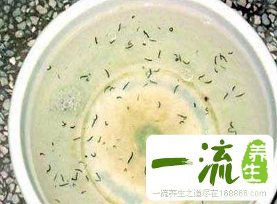 这物吃不对竟会让你丧命