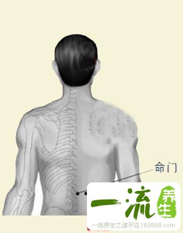 中医按摩手法 教你7大养肾强性穴位