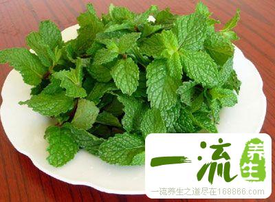 脾胃不好的禁忌 胃不好少吃这8种食物