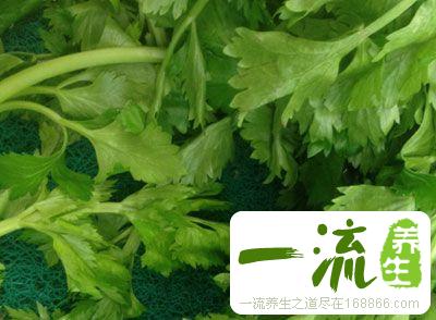 芹菜叶能吃吗 巧吃芹菜叶补充营养