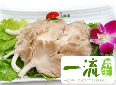 平菇的做法大全 怎样做出美味的平菇佳肴