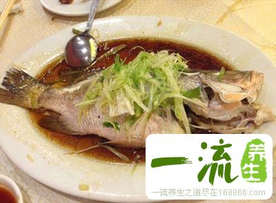 蒸鱼豉油 如何做出美味蒸鱼豉油佳肴