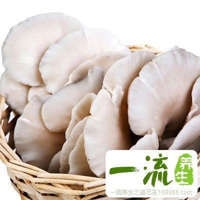 平菇的做法大全 怎样做出美味的平菇佳肴