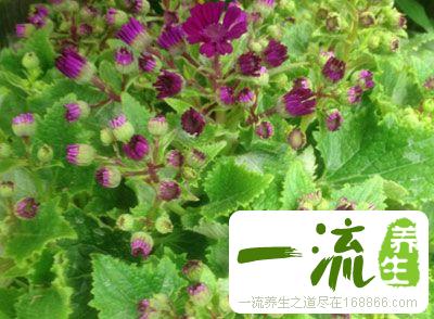 身上出现这一特征2016年准要转运