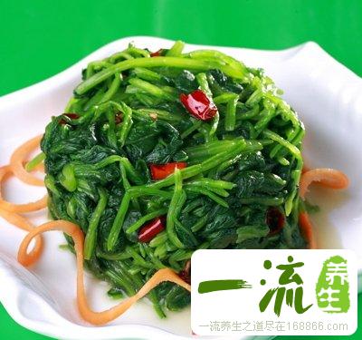 5种菠菜食谱补血养颜