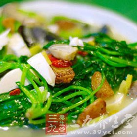 冬季进补食谱大全