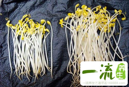 13种物品天生有毒会要命