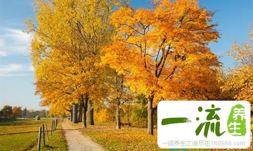 秋季养生“滋补养阴”八大禁忌