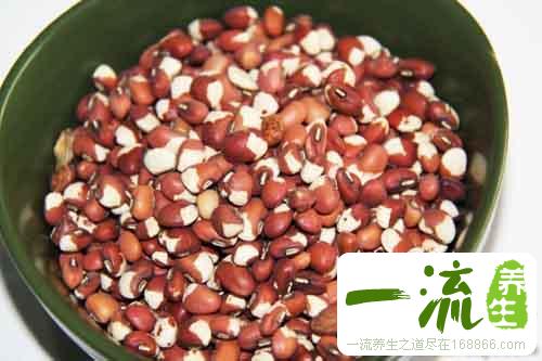 补脾的食物有哪些？12种金牌补脾食物推荐