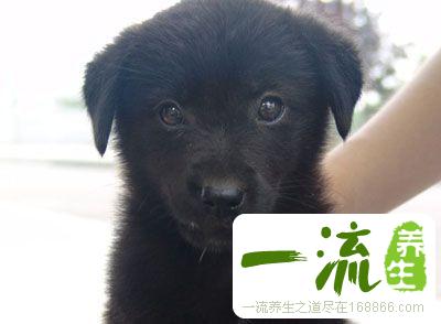 家中这处坏风水影响整体运势