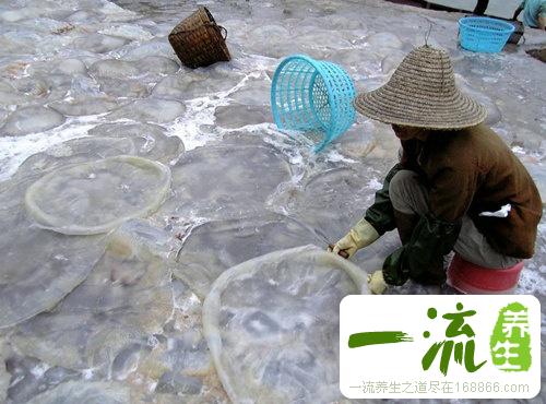 警惕10大食物不能新鲜吃