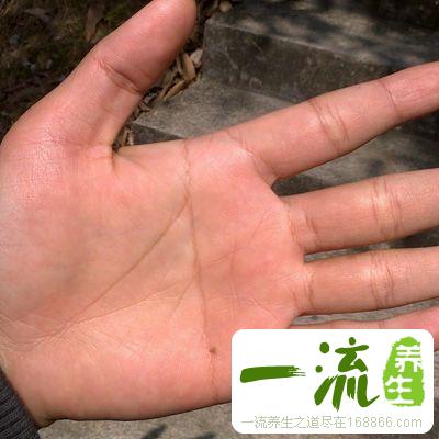 断掌真的意味着心狠手辣吗