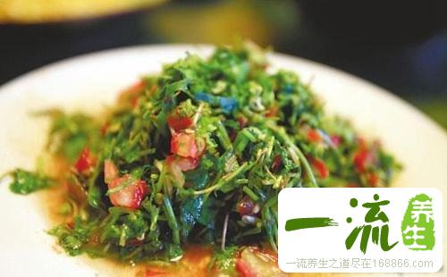 苦菊炒鸡蛋