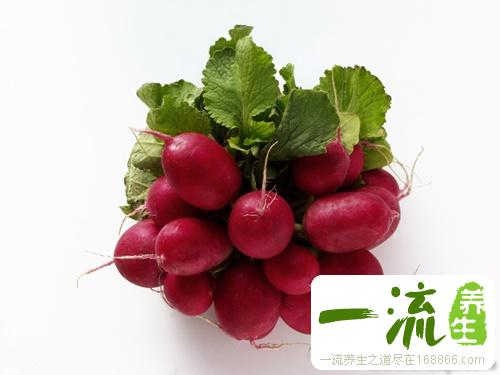 水萝卜做法