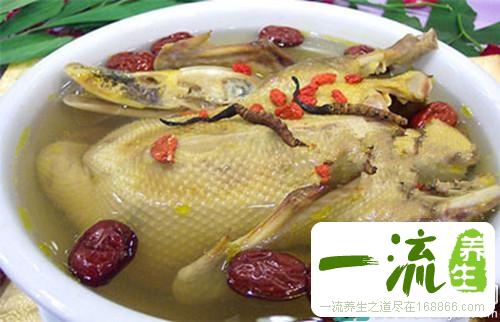 药食同源 对抗女性肾虚不孕
