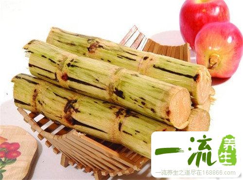 女人补血必看 7种平民补血食物胜过阿胶