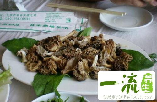 牛肚菌的功效与作用