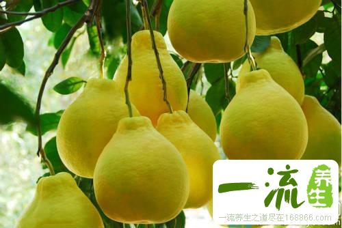 这样吃柚子可令避孕药失效
