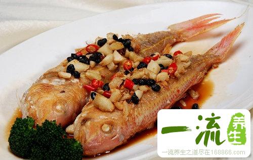 金线鱼的营养价值