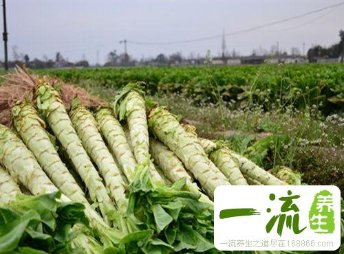 8种食物祛湿消肿