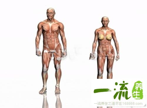 男人为何比女人短命