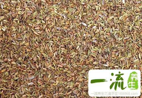茴香回奶吗