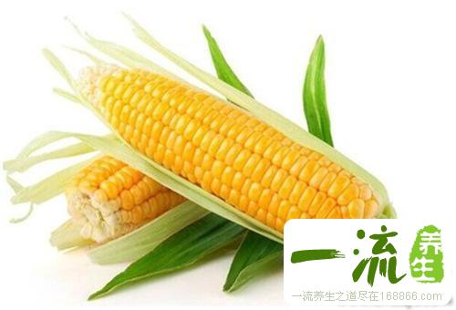 儿童常吃玉米有助智力发育