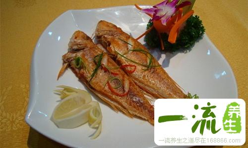 红衫鱼的营养价值