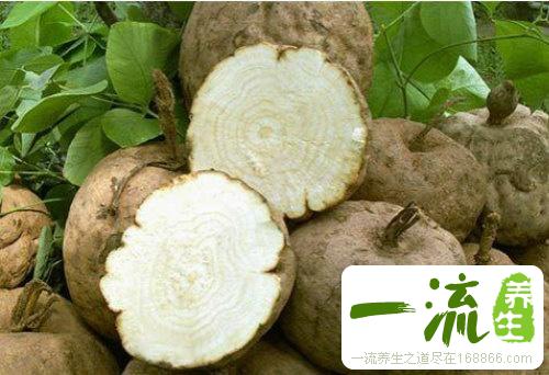 野葛根粉的作用与功效