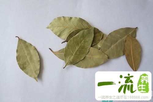 皮肤过敏能吃香叶吗