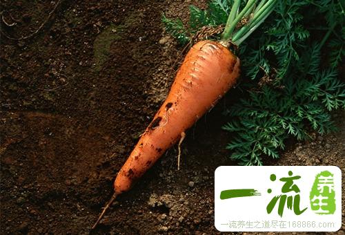 备孕期千万别吃以下6类食物！